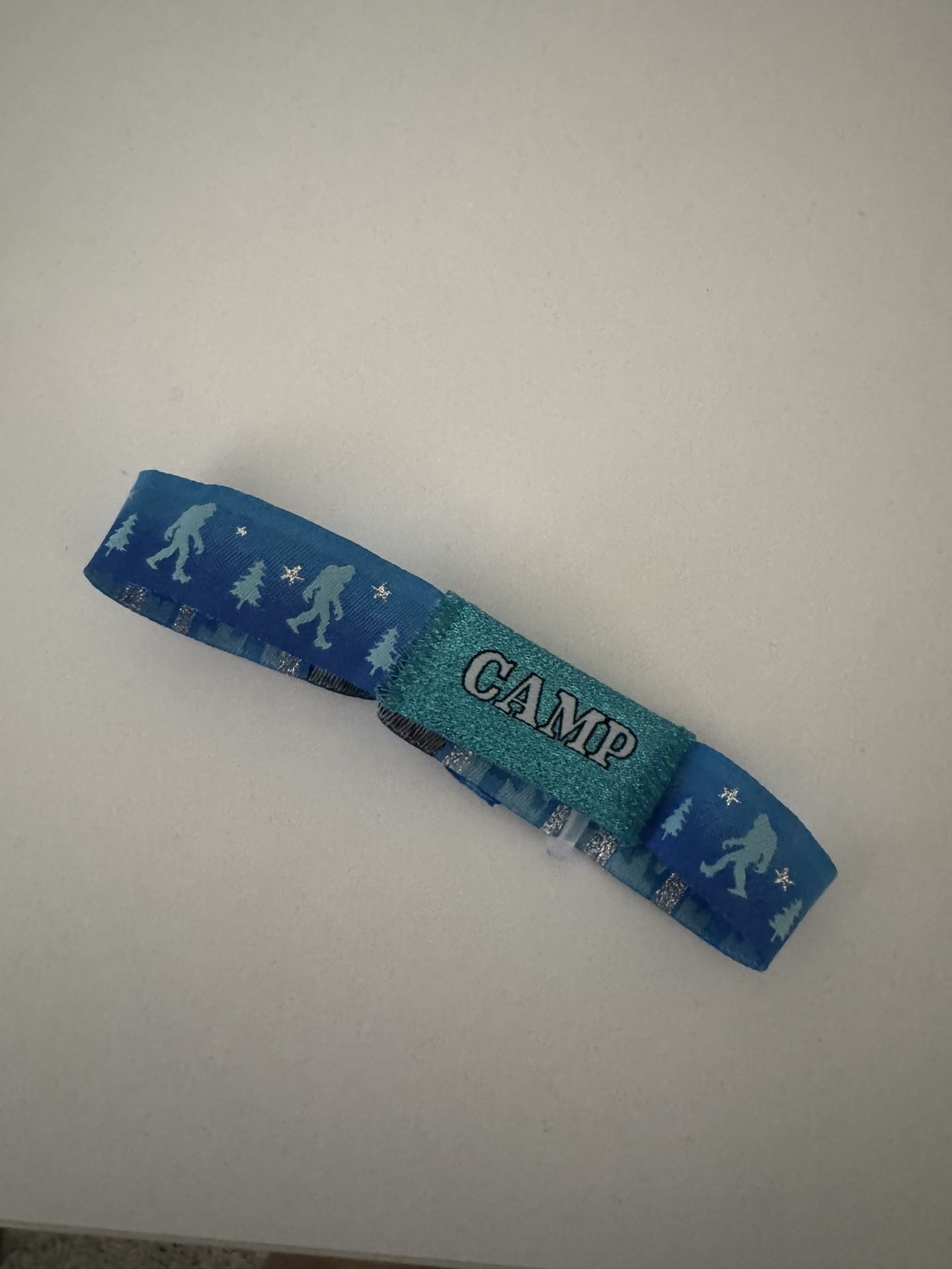 Camp Flog Gnaw Festival Wristband