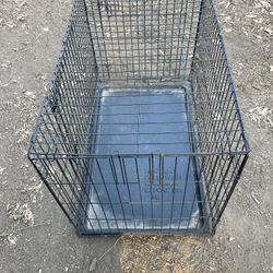 Wired Collapsible Dog Crate