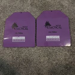 Tactical / Weighted Vest Plates 2x19.75lb (40lb Front/back)