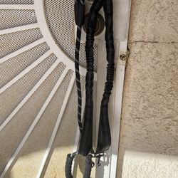 🏠🪴 2 In One Leash For Dogs