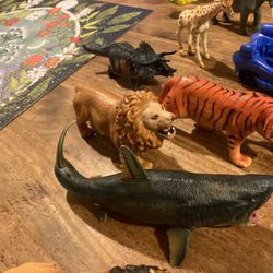 Kids toy, shark shark