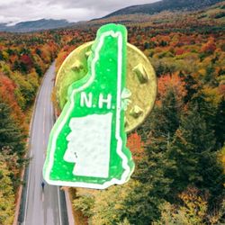 Vintage 1970s New Hampshire State Souvenir Pin Green White Resin, 0.5x0.75”