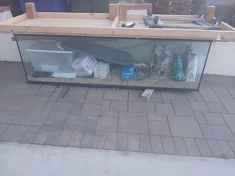 Reptile Enclosure