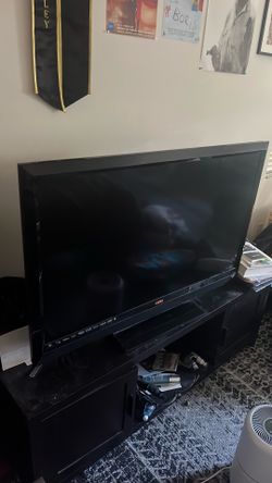 Vizio 47” TV (HDMI)