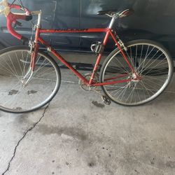 Raleigh Bike