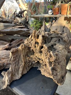 Aquarium Driftwood