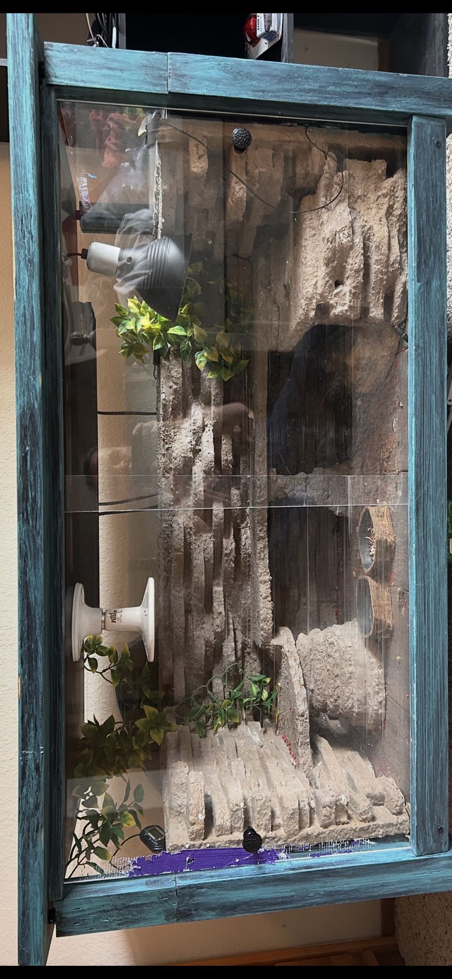 Custom Reptile Enclosure