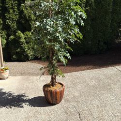 Tall Artificial Ficus Tree 