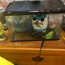 3 gallon aquarium
