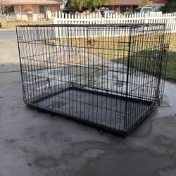 Dog Cage 