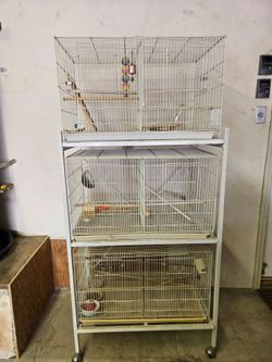 Birdcage condominium!