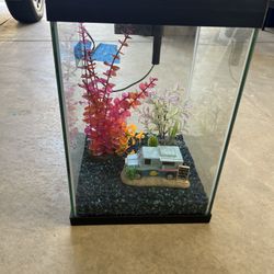 Fish Aquarium 