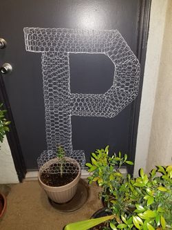 P Topiary Plant - 36" College Letter
