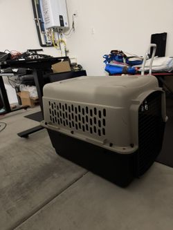 Dog Kennel