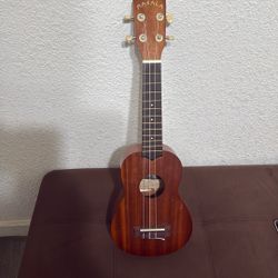 Makala Guitar