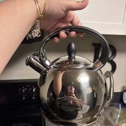STAINLESS STEEL KETTLE