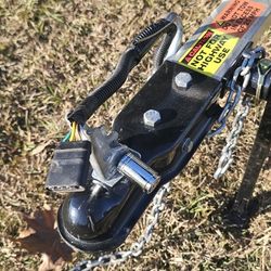 Custom Tag-a-long Cart