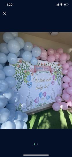 Gender Reveal Backdrop