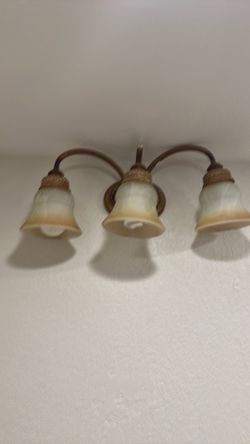 Bathroom fixture light