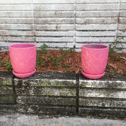 Two pink Flowerpots