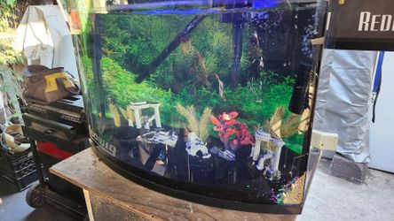 50 gallon bow glass fish tank