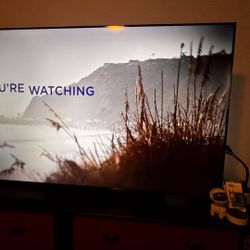 65 Inch SMART TV TCL ROKU