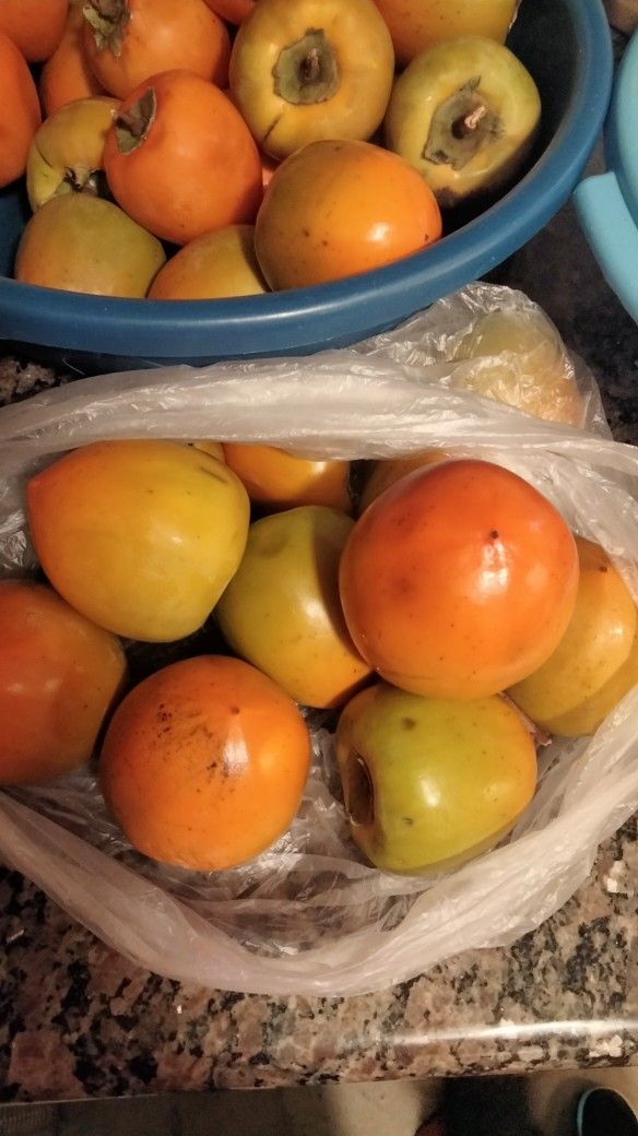 Persimos Non GMO