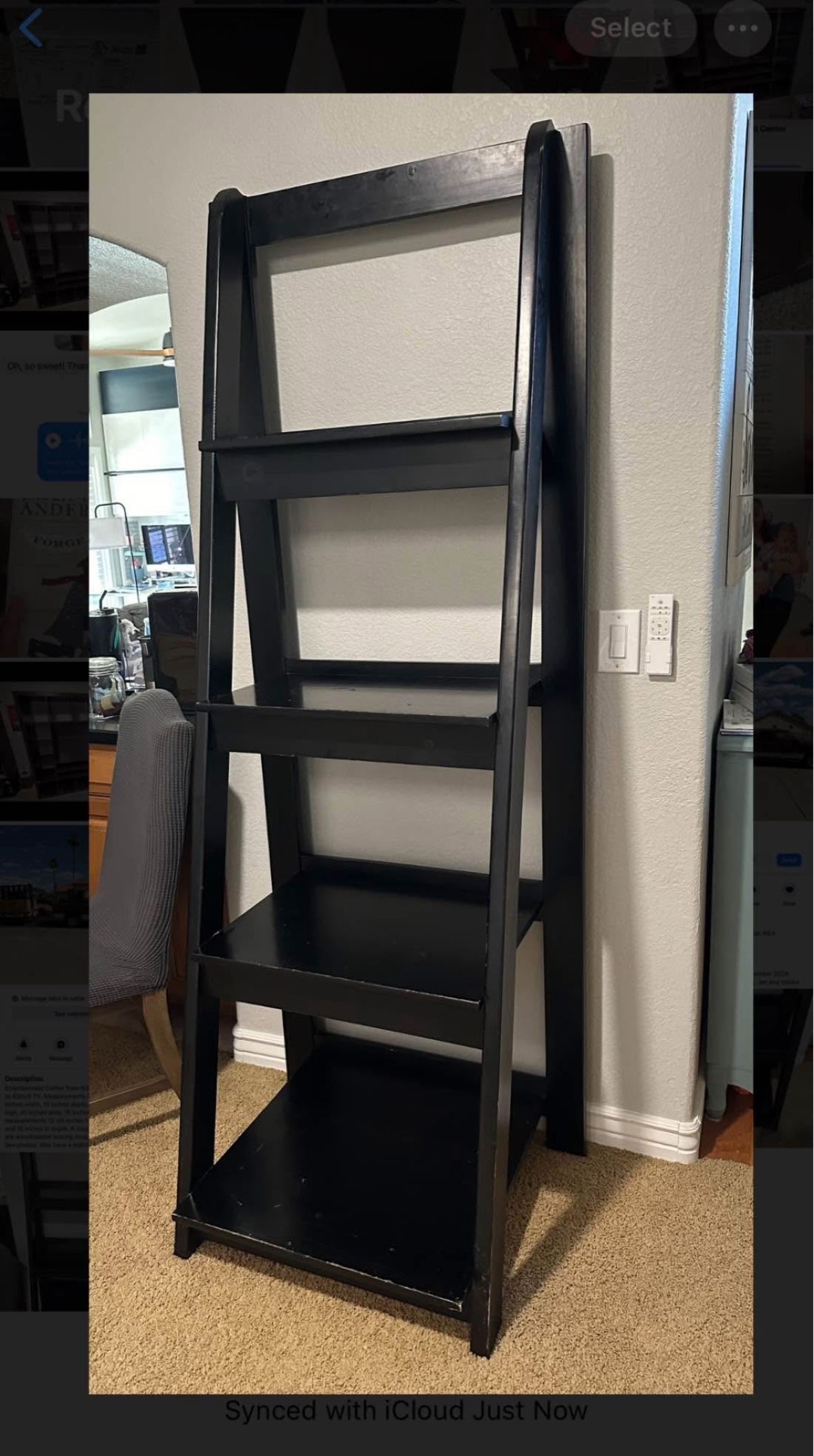Black Ladder Shelf