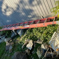 Werner Ladder Fiberglass 24'