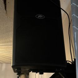 Speaker Amp And Board