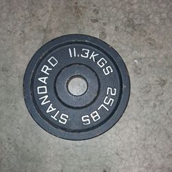 25 Pound Plate