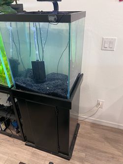 40 gallon fish tank + aquarium stand