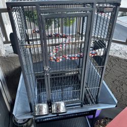 Bird Cage