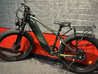 FREESKY 750 Watts Electric Bikes Ebikes