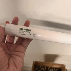 11 2’ Silvania Lightbulb