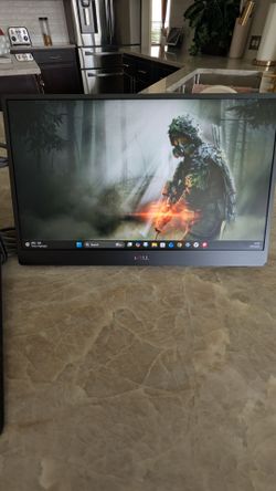 Dell 14" Portable Monitor