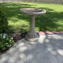 Bird Bath