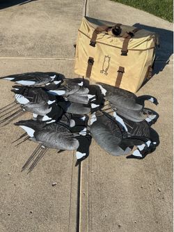 Decoys
