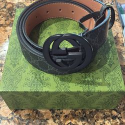 Designer belt and purses