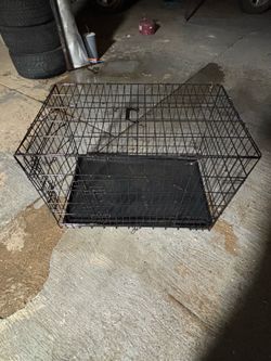 Pet cage