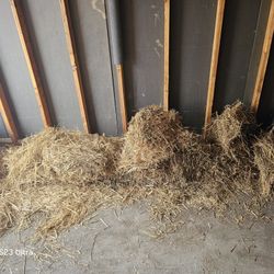 Free Hay