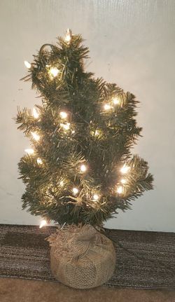 21" Tabletop Pre-Lit Artificial Mixed Pine Christmas Tree
