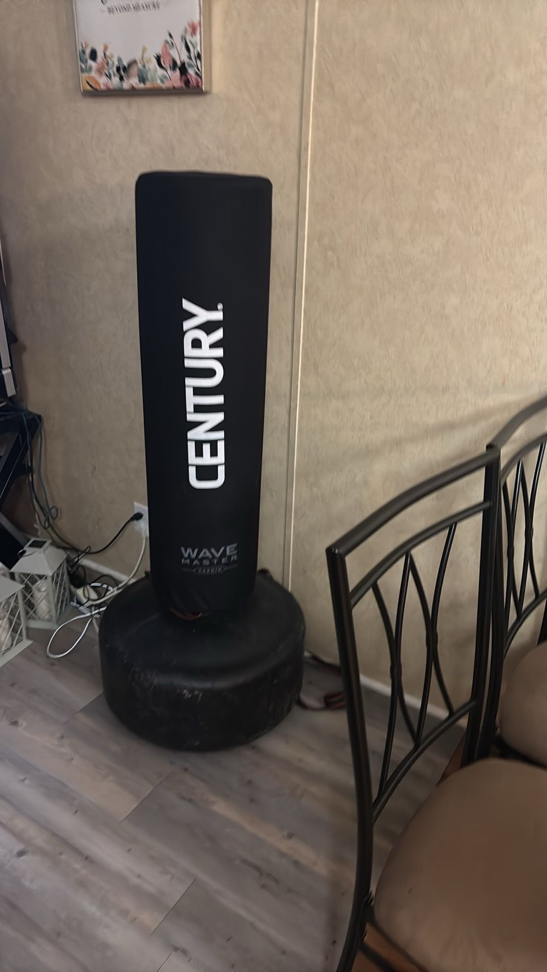 Cardio Punching Bag