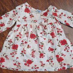"Old Navy" Dress With Roses 