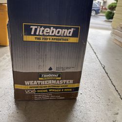 9.5 oz. Black WeatherMaster Exterior Sealant (12-Pack) 