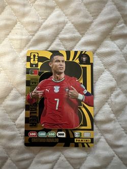 Panini adrenalyn XL WC 26 Cards