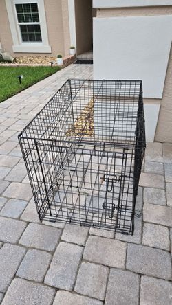 Dog Cage