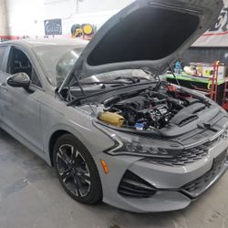 Paint, Dents, Scratches, Damages, Crashed Car, Bodywork Paint Work