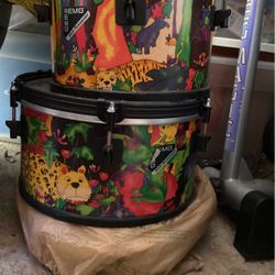 Drums,Remo Heads,2