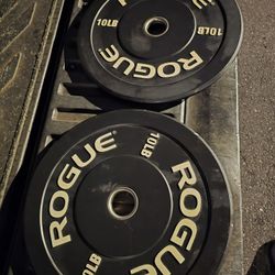 Weight Rogue Bumper Plates 